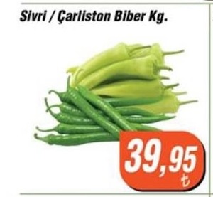 Sivri / Çarlston Biber Kg.