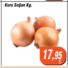 Kuru Soğan Kg.