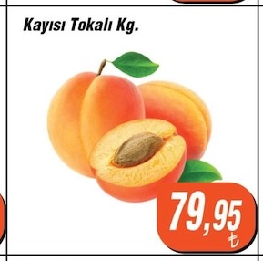 Kayısı Tokalı Kg.