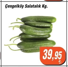 Çengelköy Salatalık Kg.