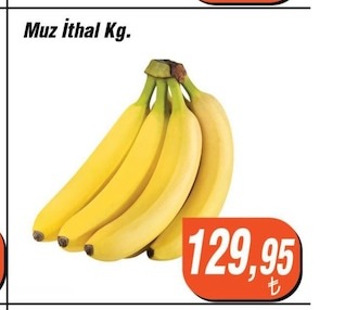 Muz İthal Kg.