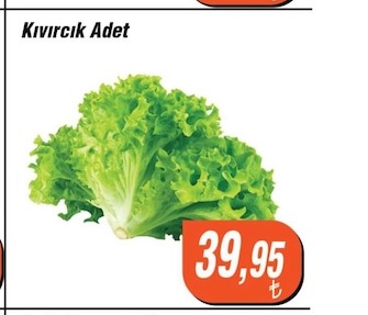 Kıvırcık Adet