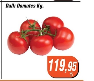 Dallı Domates Kg.