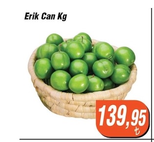Erik Can Kg