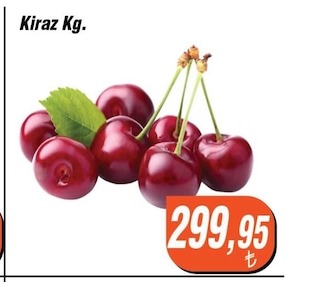 Kiraz Kg