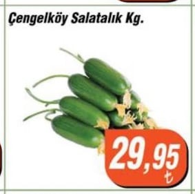Çengelköy Salatalık Kg.