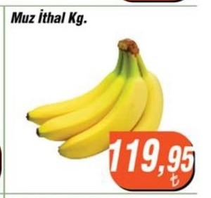 Muz İthal Kg.