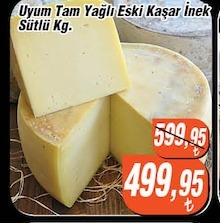 Uyum Tam Yağlı Eski Kaşar İnek Sütlü Kg.