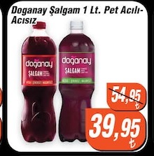 Doganay Salgam 1 Lt Pet Acılı-Acısız