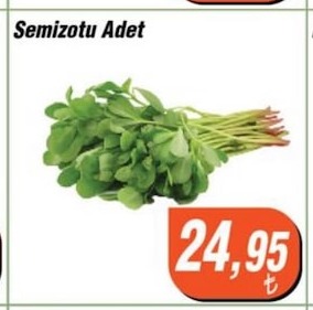 Semizotu Adet