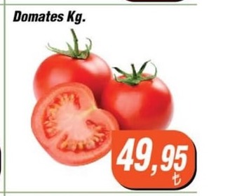 Domates Kg.