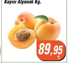 Kayisi Alyanak Kg.