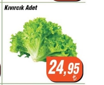 Kıvırcık Adet