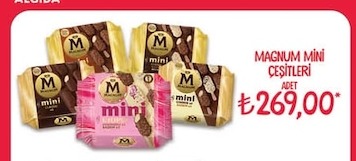Magnum Mini Çeşitleri
