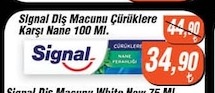 Signal Diş Macunu Çürükler Karşı Nane 100 Ml.