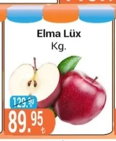 Elma Lüx Kg.