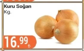Kuru Soğan Kg.