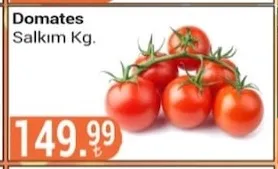 Domates Salkım Kg.