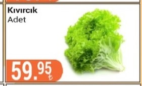 Kıvırcık Adet