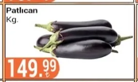Patlıcan Kg.