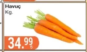 Havuç Kg