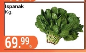 Ispanak Kg