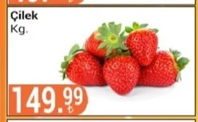Çilek Kg