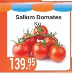 Salkım Domates Kg
