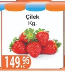 Çilek Kg