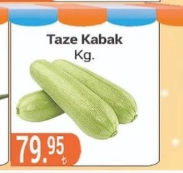 Taze Kabak Kg.