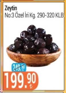 Zeytin No:3 Özel Iri Kg. 290-320 Klb