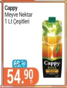 Cappy Meyve Nektar 1 Lt Çeşitleri