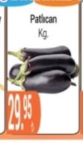 Patlican Kg