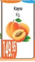 Kayisi Kg