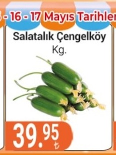 Salatalik Cengelkoy Kg.