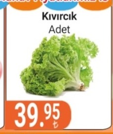 Kivircik Adet