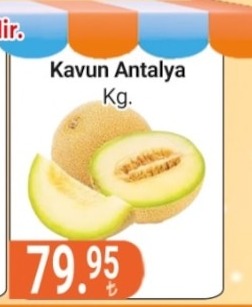 Kavun Antalya Kg.