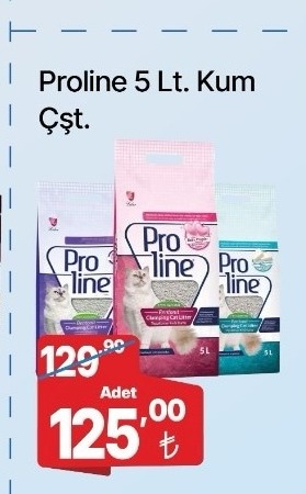 Proline 5 Lt. Kum Çşt.