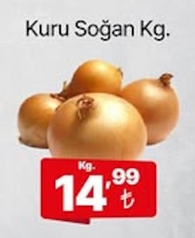 Kuru Soğan Kg