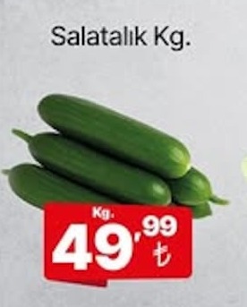 Salatalık Kg