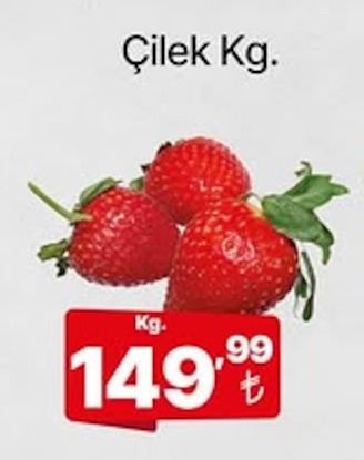 Çilek Kg