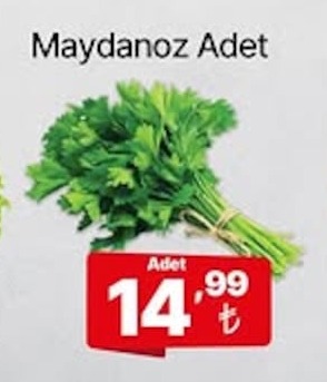 Maydanoz Adet
