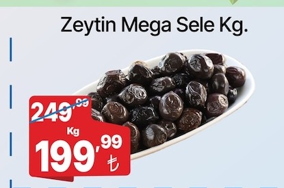 Zeytin Mega Sele Kg