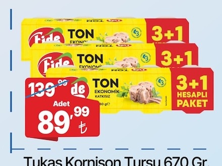 Fide Ton Ekonomik 3+1