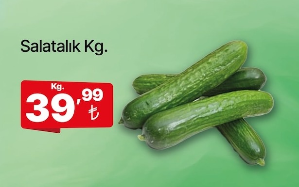 Salatalık Kg.