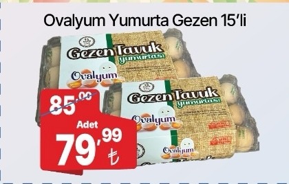 Ovalyum Gezen Tavuk Yumurtası 15'Li