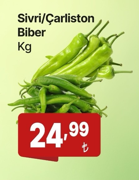 Sivri Charlston Biber Kg