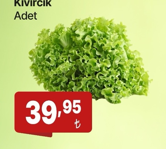 Kivircik Adet
