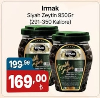 Irmak Siyah Zeytin 950Gr (291-350 Kalibre)