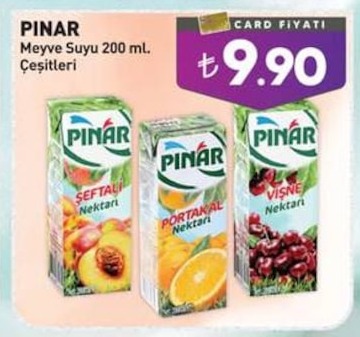 Pınar Meyve Suyu 200 Ml. Çeşitleri